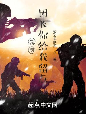 亮剑:团长你给我留点 亮剑:团长你给我留点