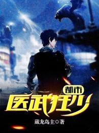 都市医武狂婿 都市医武狂婿