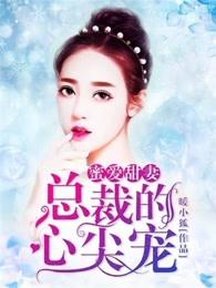 蜜爱甜妻:总裁的心尖宠 蜜爱甜妻:总裁的心尖宠