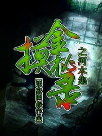摸金秘录之河木集 摸金秘录之河木集