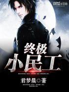 终极小民工 终极小民工