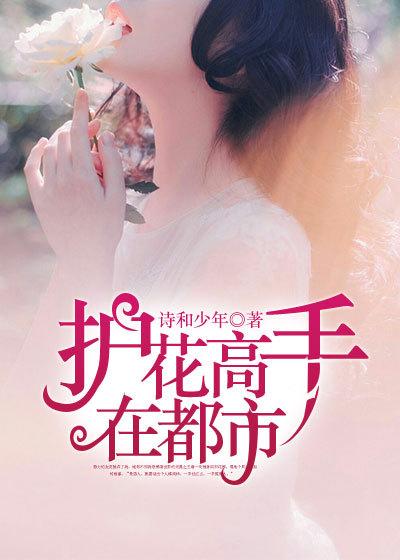 护花高手在都市 护花高手在都市