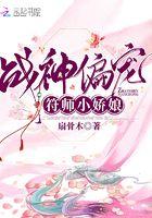 战神偏宠符师小娇娘 战神偏宠符师小娇娘