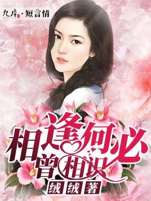 相逢何必曾相识 相逢何必曾相识